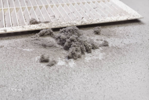 Best Air Duct Cleaning Near Me  in Seymour, WI